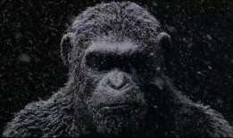 猩球大战3在线观看,终极之战在线观影指南：揭秘猿类革命的高潮时刻