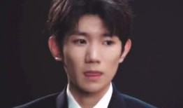 王源爆料相亲视频播放时间,揭秘明星私生活，播放时间引发热议