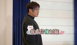 刘维爆料陈瑶完整视频,真相与争议并存